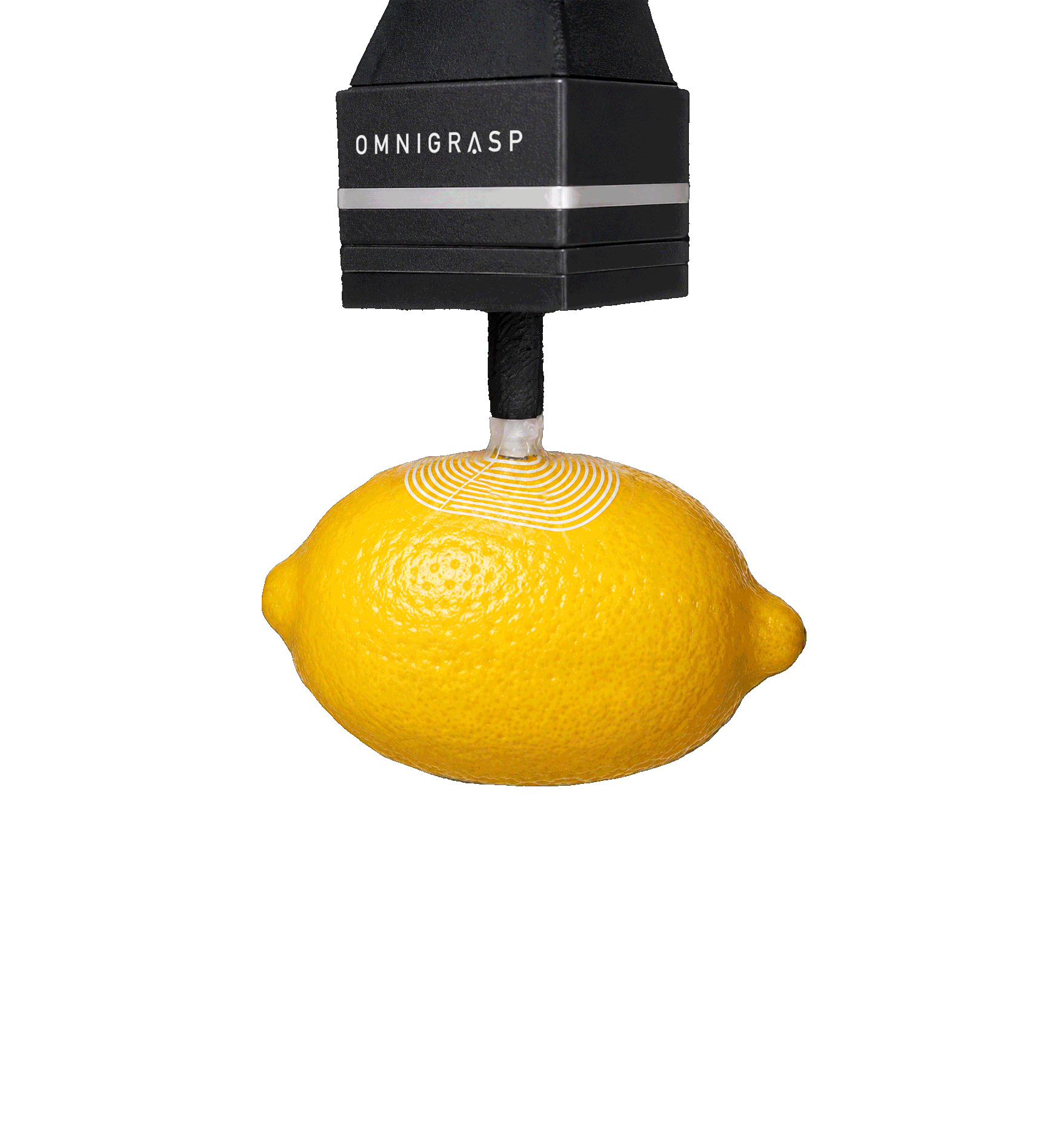 soft gripping technology powered by electroadhesion